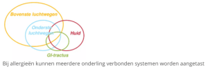 allergie-multi-systeem-aandoening